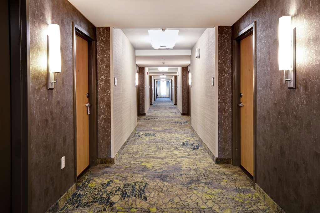 Hilton Garden Inn Jackson Facilități foto
